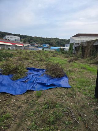 뚜벅이님의 기타작물 · 영농일지 작성글 사진