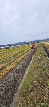 팜모닝 마늘·영농일지 게시글 이미지