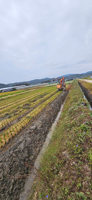 구춘봉님의 마늘 · 영농일지 작성글 사진