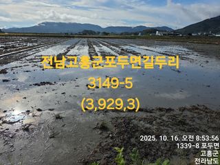 정정치님의 벼 · 영농일지 작성글 사진
