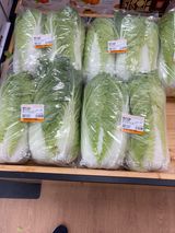 팜모닝 기타작물·영농일지 게시글 이미지