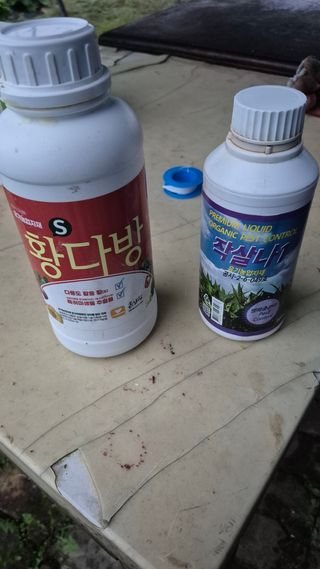 김한수님의 배추 · 영농일지 작성글 사진