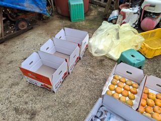 헤이쥬회원님의 감 · 영농일지 작성글 사진