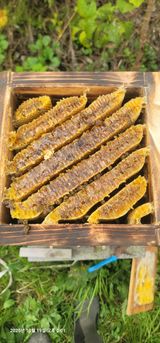 팜모닝 기타작물·영농일지 게시글 이미지