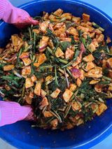 팜모닝 기타작물·영농일지 게시글 이미지