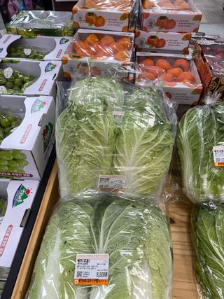 김영완님의 기타작물 · 영농일지 작성글 사진