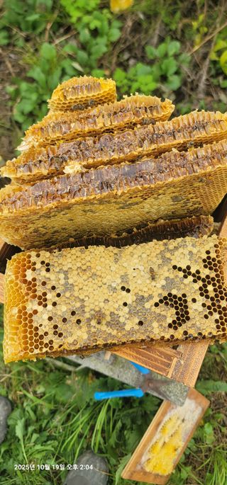 김경민님의 기타작물 · 영농일지 작성글 사진