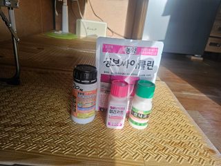 고영미님의 기타작물 · 영농일지 작성글 사진