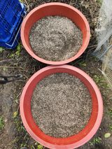 팜모닝 들깨·영농일지 게시글 이미지