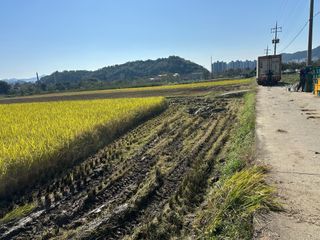 단감대봉시금치당님의 벼 · 영농일지 작성글 사진