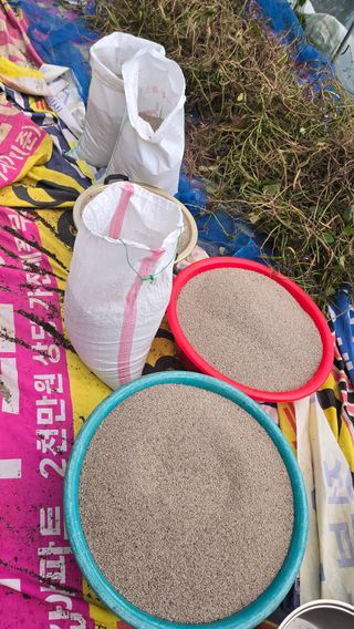 들깨고추아줌마님의 기타작물 · 영농일지 작성글 사진