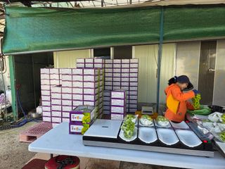 참깨17081님의 기타작물 · 영농일지 작성글 사진