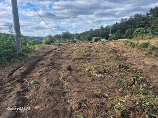 들깨18202님의 기타작물 · 영농일지 작성글 사진