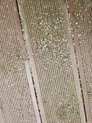 김해열님의 기타작물 · 영농일지 작성글 사진