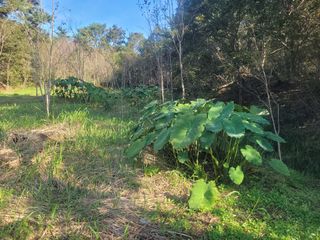 김정은님의 기타작물 · 영농일지 작성글 사진