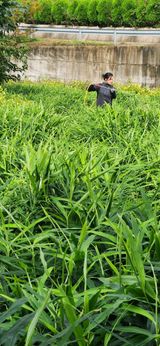 팜모닝 기타작물·영농일지 게시글 이미지