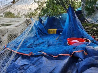 알 수 없음님의 들깨 · 영농일지 작성글 사진