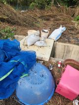 팜모닝 기타작물·영농일지 게시글 이미지