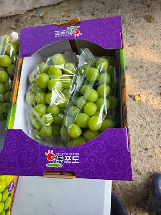 참깨17081님의 기타작물 · 영농일지 작성글 사진