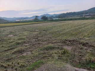 포도7969님의 벼 · 영농일지 작성글 사진