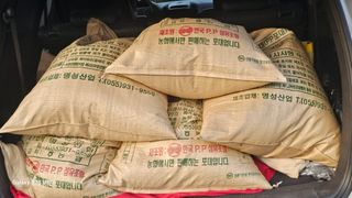 임일재님의 들깨 · 영농일지 작성글 사진