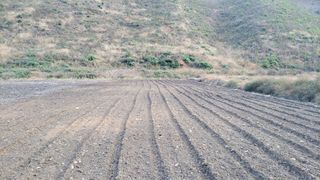 김홍중님의 기타작물 · 영농일지 작성글 사진