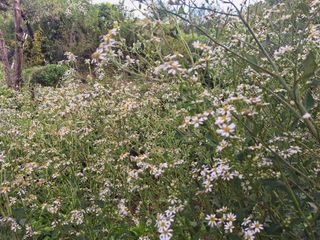 레인보우가든님의 기타작물 · 영농일지 작성글 사진