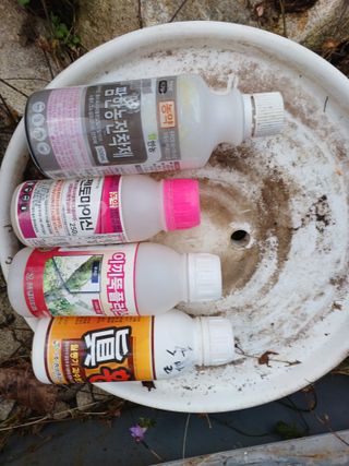 양동사랑 님의 사과 · 영농일지 작성글 사진