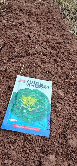 정연섭님의 기타작물 · 영농일지 작성글 사진