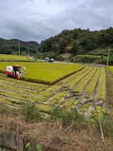 팜모닝 기타작물·영농일지 게시글 이미지