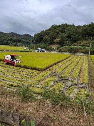 고추31307님의 기타작물 · 영농일지 작성글 사진