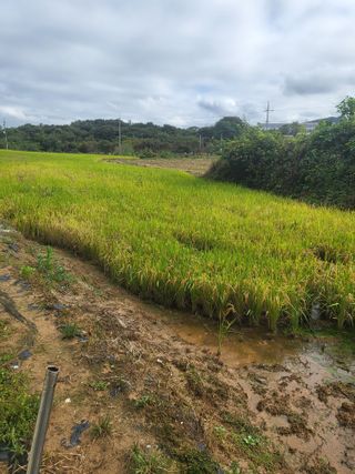 최병우님의 기타작물 · 영농일지 작성글 사진