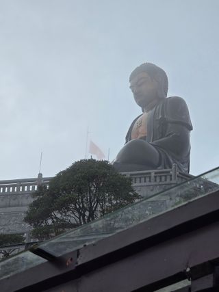 김종협님의 기타작물 · 영농일지 작성글 사진