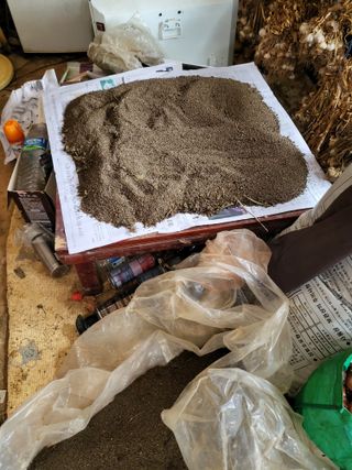 최병우님의 기타작물 · 영농일지 작성글 사진