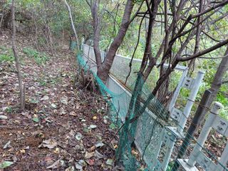 양동사랑 님의 사과 · 영농일지 작성글 사진