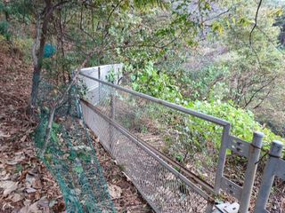 양동사랑 님의 사과 · 영농일지 작성글 사진