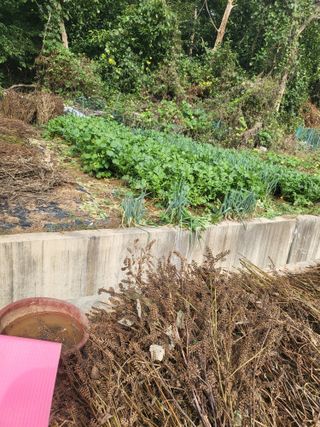 최병우님의 기타작물 · 영농일지 작성글 사진