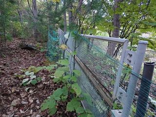 양동사랑 님의 사과 · 영농일지 작성글 사진