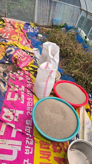 들깨고추아줌마님의 기타작물 · 영농일지 작성글 사진