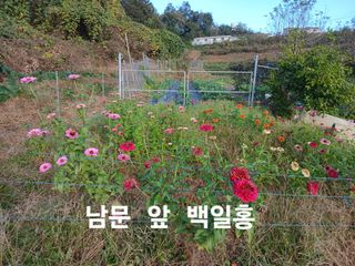 안승호님의 기타작물 · 영농일지 작성글 사진