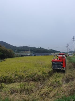 오이8898황산면님의 벼 · 영농일지 작성글 사진