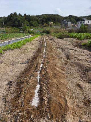 김윤회님의 파 · 영농일지 작성글 사진