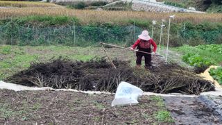 김동명님의 들깨 · 영농일지 작성글 사진