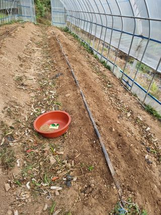 심기섭님의 기타작물 · 영농일지 작성글 사진