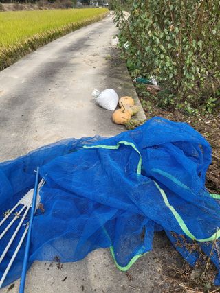 최병우님의 들깨 · 영농일지 작성글 사진