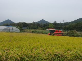 오이8898황산면님의 벼 · 영농일지 작성글 사진