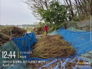 김경형님의 들깨 · 영농일지 작성글 사진