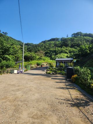 김응진님의 복숭아 · 영농일지 작성글 사진