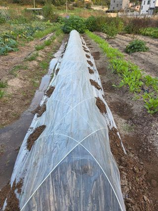 김윤회님의 파 · 영농일지 작성글 사진