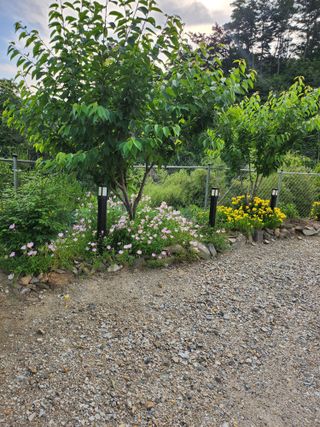 김응진님의 복숭아 · 영농일지 작성글 사진